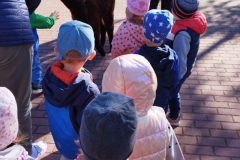 IMG_20250926_093213