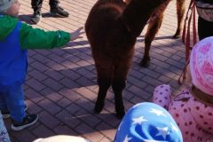 IMG_20250926_093224