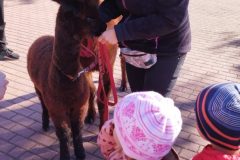 IMG_20250926_093228
