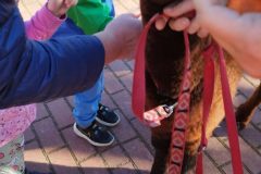 IMG_20250926_093240