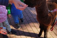 IMG_20250926_093251