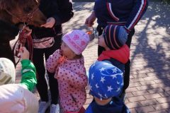 IMG_20250926_093307