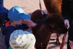 IMG_20250926_093321