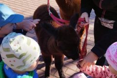IMG_20250926_093324