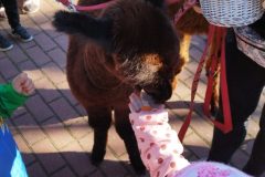 IMG_20250926_093339
