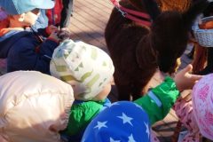 IMG_20250926_093342