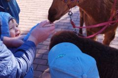 IMG_20250926_093404
