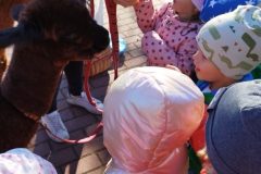 IMG_20250926_093420