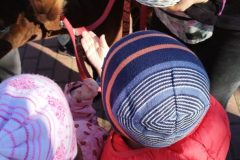IMG_20250926_093510