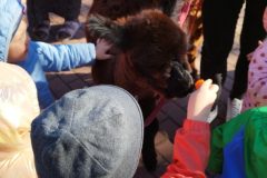 IMG_20250926_093519