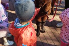 IMG_20250926_093528