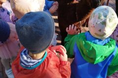 IMG_20250926_093531