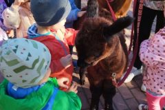 IMG_20250926_093609