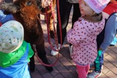 IMG_20250926_093613