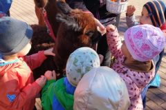 IMG_20250926_093618