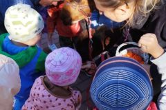 IMG_20250926_093653