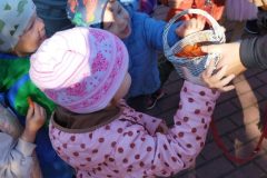 IMG_20250926_093659
