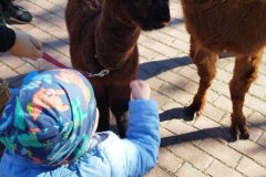 IMG_20250926_093831