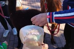 IMG_20250926_094046