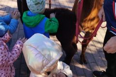 IMG_20250926_094048_1