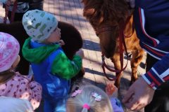 IMG_20250926_094058
