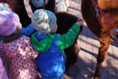 IMG_20250926_094112