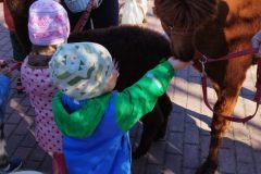 IMG_20250926_094115