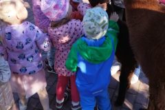 IMG_20250926_094207