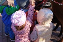 IMG_20250926_094223