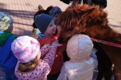 IMG_20250926_094225