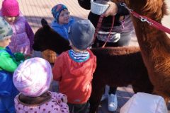 IMG_20250926_094228