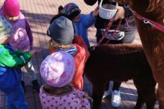 IMG_20250926_094230
