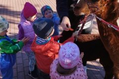 IMG_20250926_094232