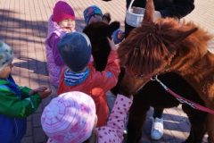IMG_20250926_094235