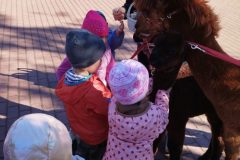 IMG_20250926_094238