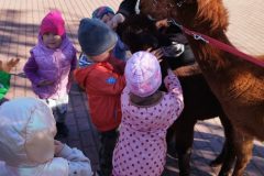 IMG_20250926_094239
