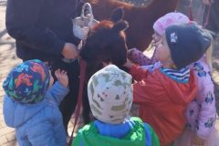 IMG_20250926_094250
