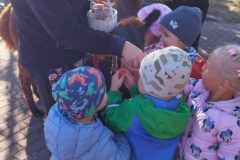 IMG_20250926_094256