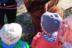 IMG_20250926_094432