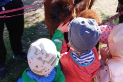 IMG_20250926_094434