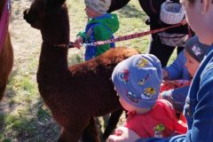 IMG_20250926_094444