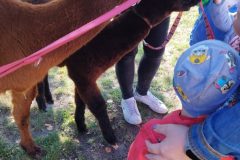IMG_20250926_094513