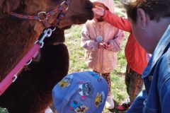 IMG_20250926_094537