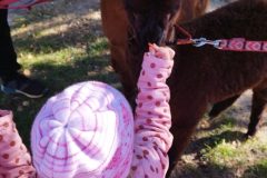 IMG_20250926_094600