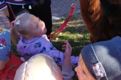 IMG_20250926_094619