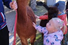 IMG_20250926_094938