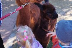 IMG_20250926_095020