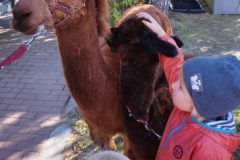 IMG_20250926_095037