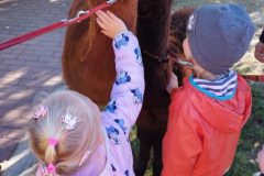 IMG_20250926_095050