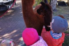 IMG_20250926_095122